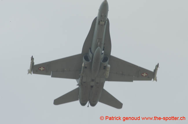 G8-03 (50)