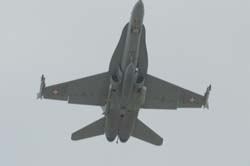 G8-03 (50)