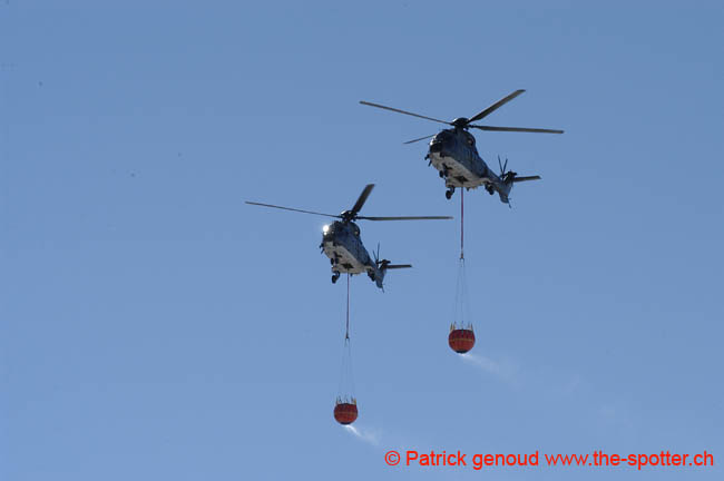 axalp03 (15)