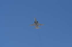 axalp03 (18)