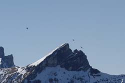 axalp03 (25)
