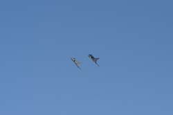 axalp03 (3)