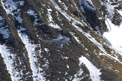axalp03 (50)