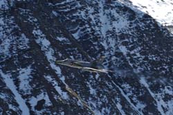 axalp03 (7)