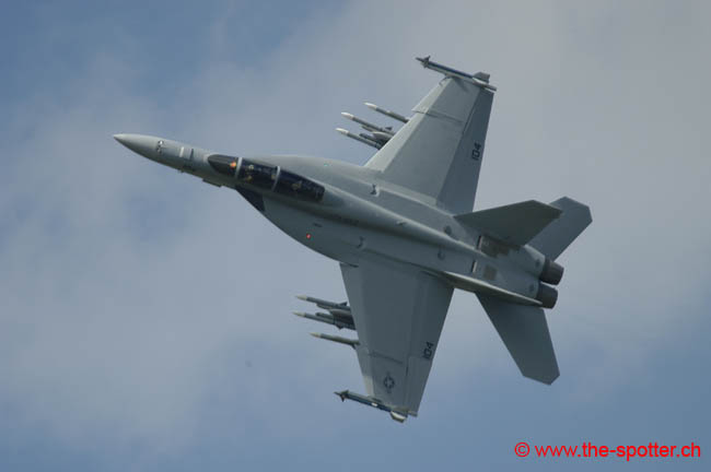 super-hornetF18E-F (19)