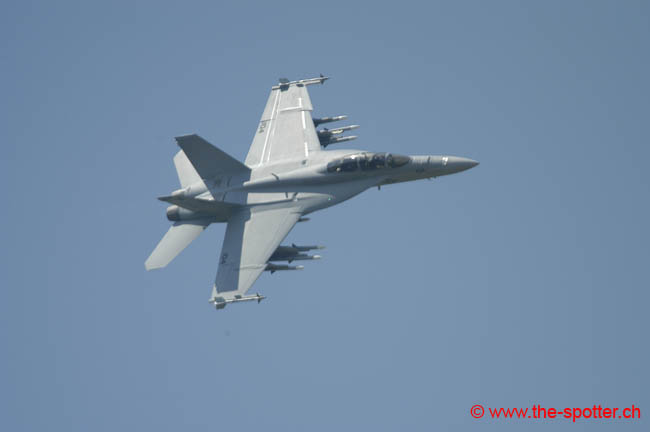 super-hornetF18E-F (8)