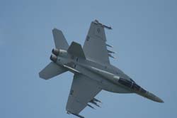 super-hornetF18E-F (21)