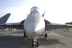 super-hornetF18E-F (24)
