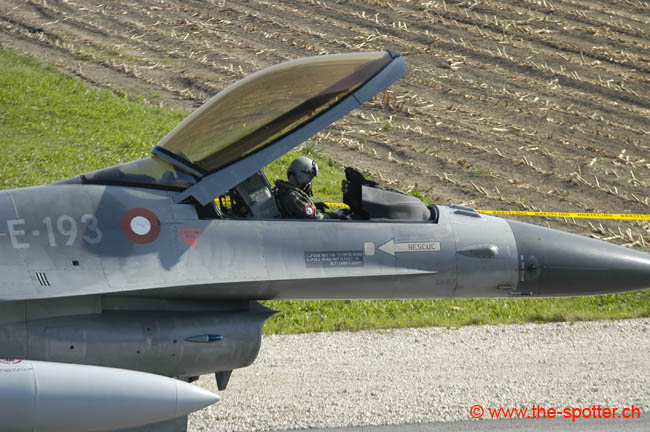 Falcon-varied (15)