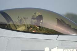 Falcon-varied (11)