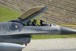 Falcon-varied (15)