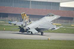 Falcon-varied (21)