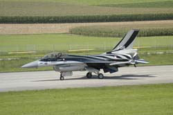 Falcon-varied (24)