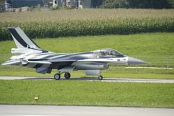 Falcon-varied (26)