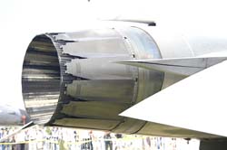 Falcon-varied (29)