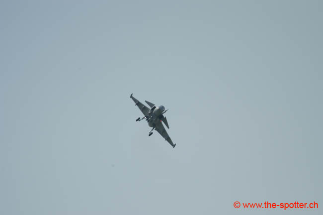 Gripen (21)
