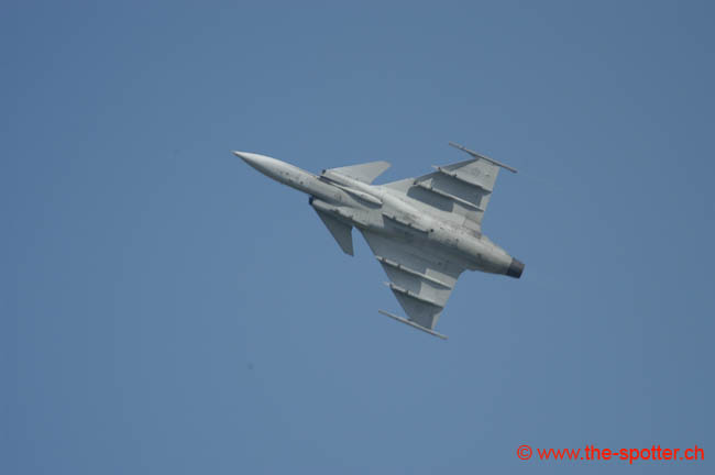 Gripen (8)
