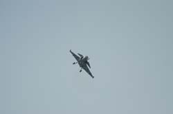 Gripen (21)