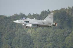 Gripen (25)