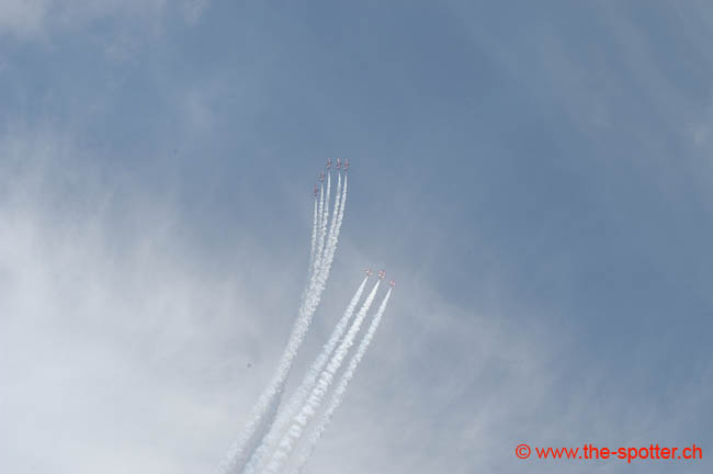 Red-Arrows (33)