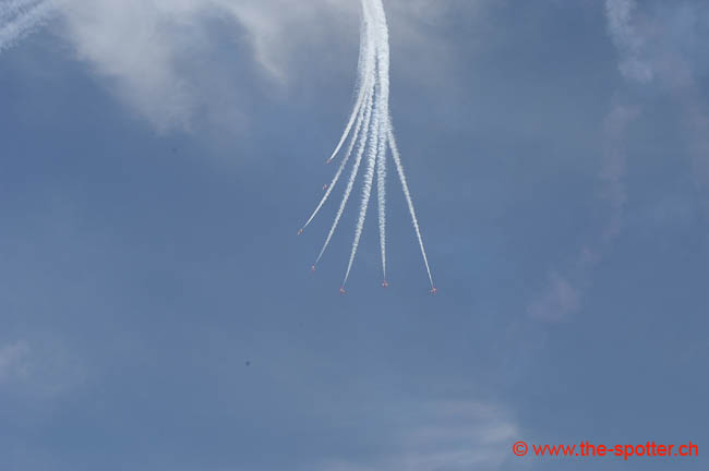 Red-Arrows (62)