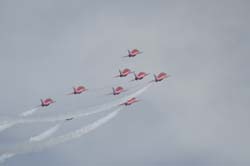 Red-Arrows (21)