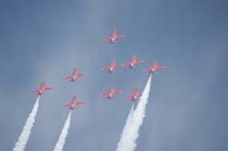 Red-Arrows (23)