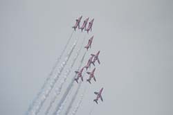 Red-Arrows (31)