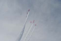 Red-Arrows (32)