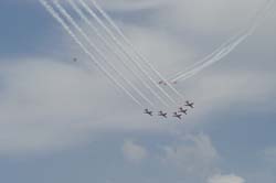 Red-Arrows (37)