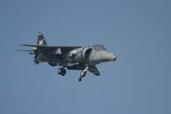 GR7-Harrier (14)