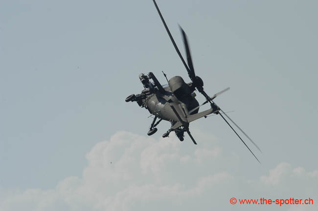 helico-varied (1)