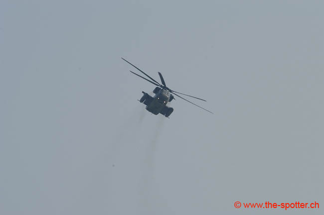 helico-varied (10)