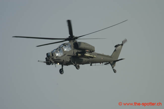 helico-varied (13)