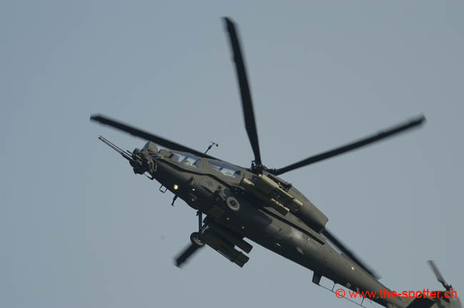 helico-varied (14)