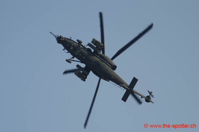 helico-varied (15)