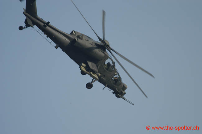 helico-varied (17)