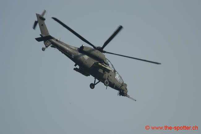 helico-varied (18)
