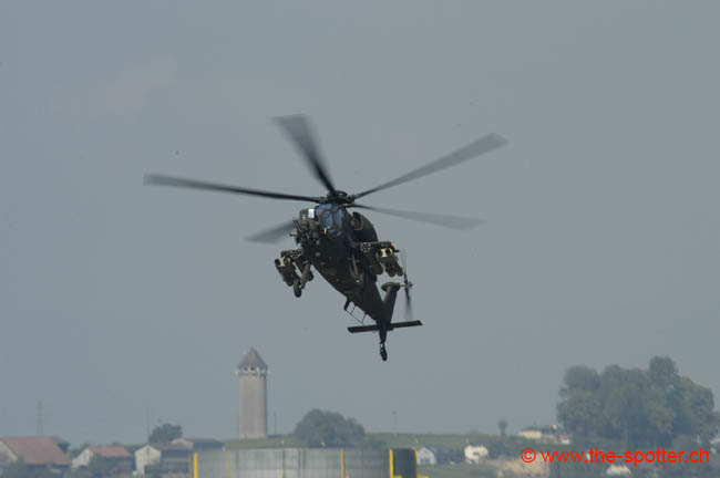helico-varied (2)
