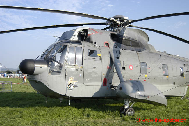 helico-varied (22)