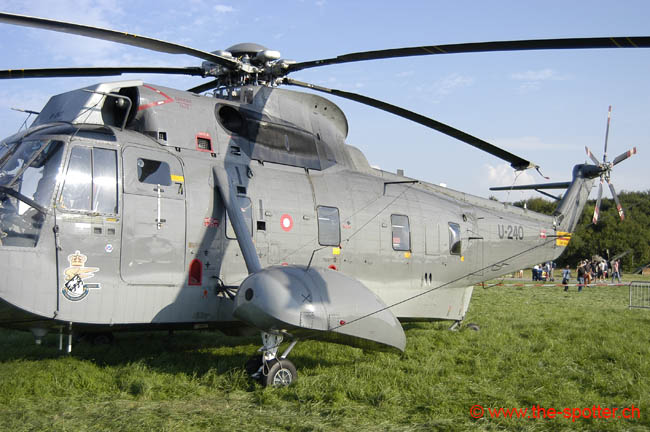 helico-varied (23)