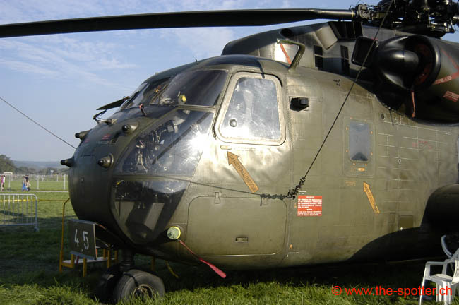 helico-varied (25)