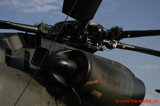 helico-varied (26)