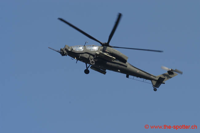 helico-varied (29)