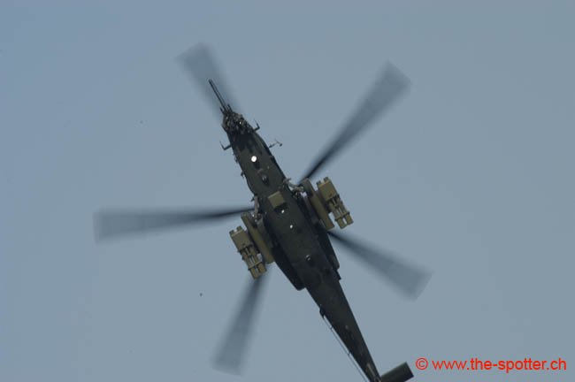 helico-varied (3)