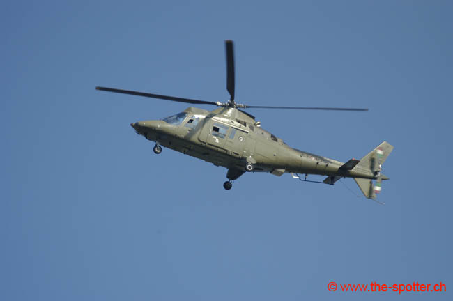 helico-varied (31)