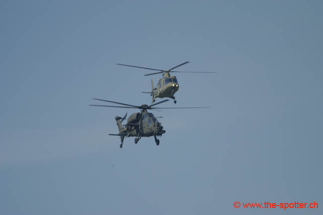 helico-varied (32)