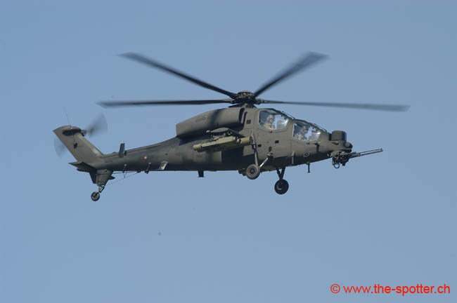 helico-varied (34)