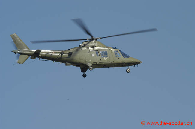 helico-varied (35)