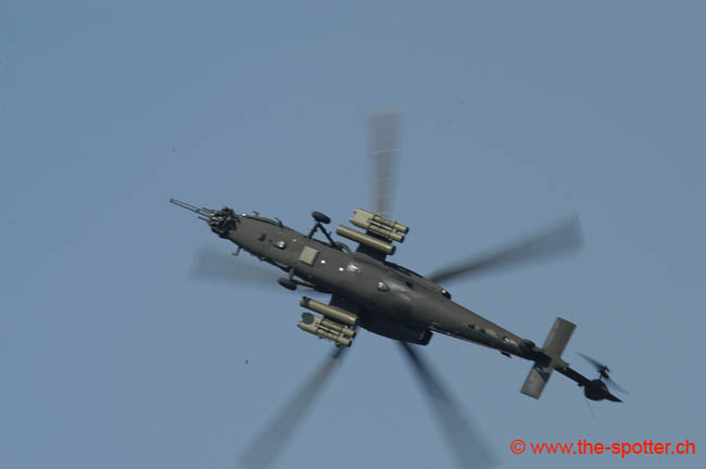 helico-varied (4)